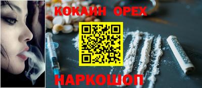 тгк Бердск