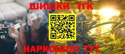 тгк Бердск