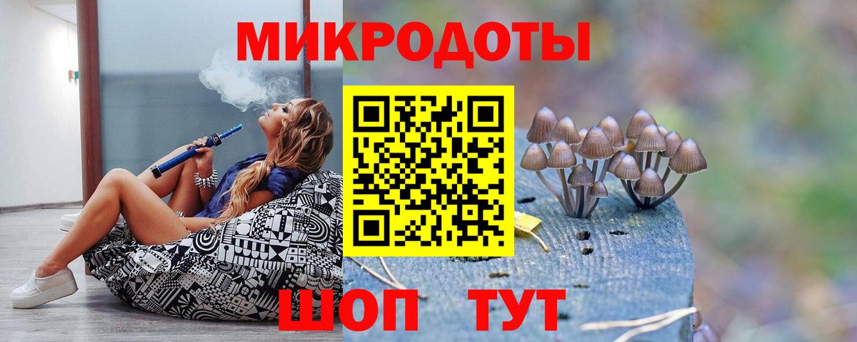 Губкинский  Галлюциногенные грибы мицелий  Вход с VPN 