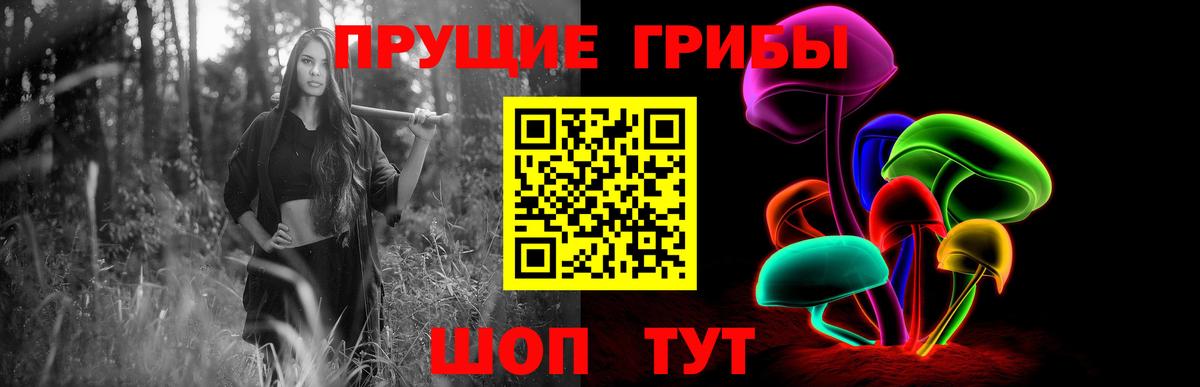 Галлюциногенные грибы мухоморы Губкинский